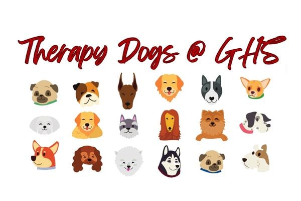 Therapy Dogs